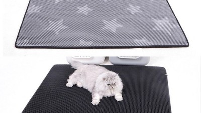 냥이 모래 지옥 탈출! 청춘고양이 매트 후기🐾 (최저가 득템!)