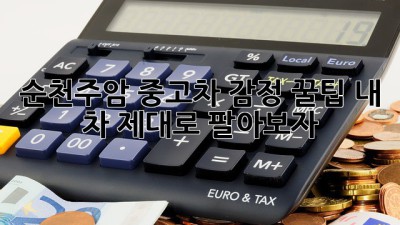 순천·주암 중고차 감정 꿀팁🍯: 내 차, 제대로 팔아보자!